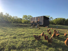 Load image into Gallery viewer, Pasture Raised Eggs