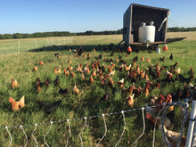 Load image into Gallery viewer, Pasture Raised Eggs
